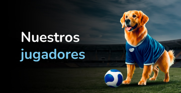 Perro futbolista